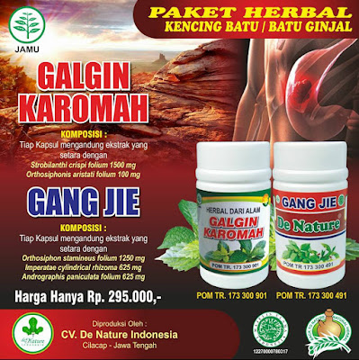 obat batu ginjal/kencing batu