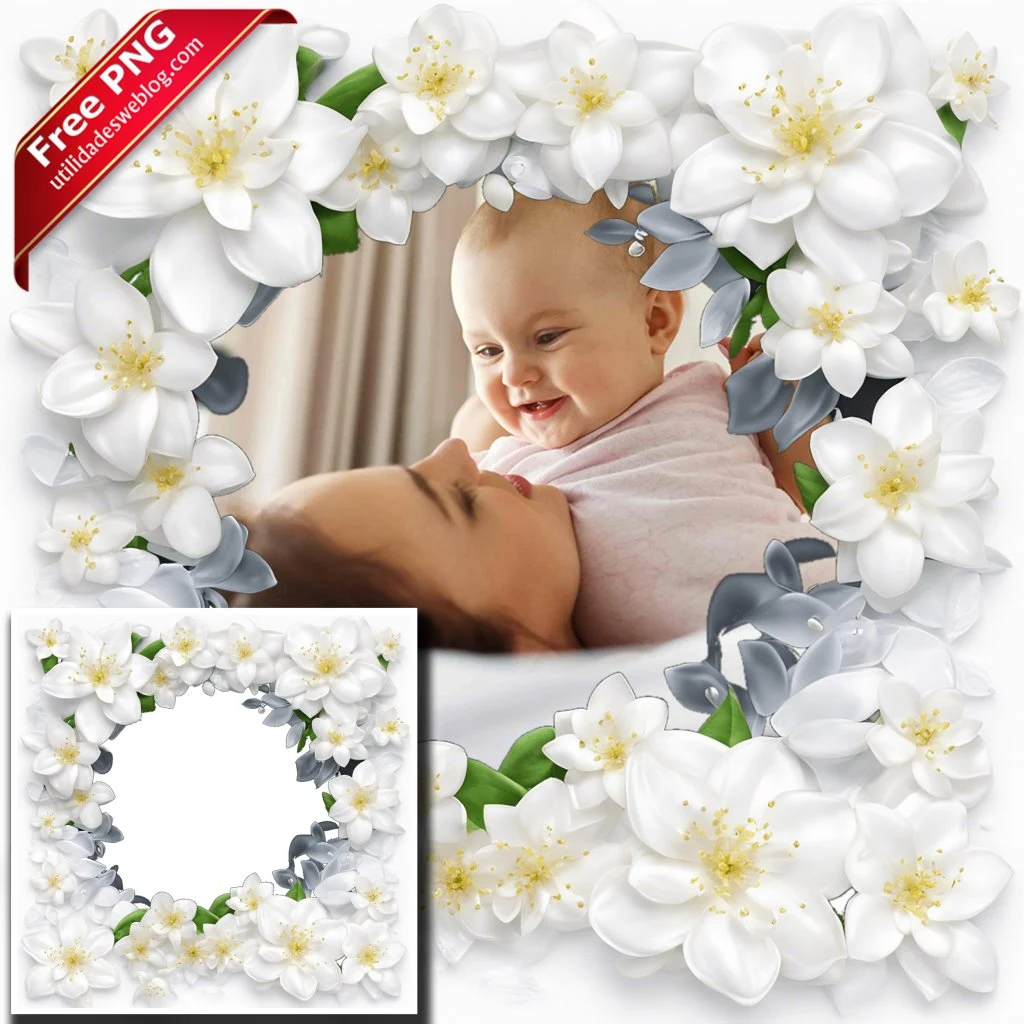 marco para fotos con flores de jasmin blancas en png con fondo transparente para descargar gratis