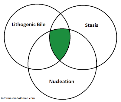 Faktor-faktor yang menentukan pembentukan batu empedu kolesterol, lithogenic bile, stasis, nucleation, empedu litogenik, nukleasi, diagram venn
