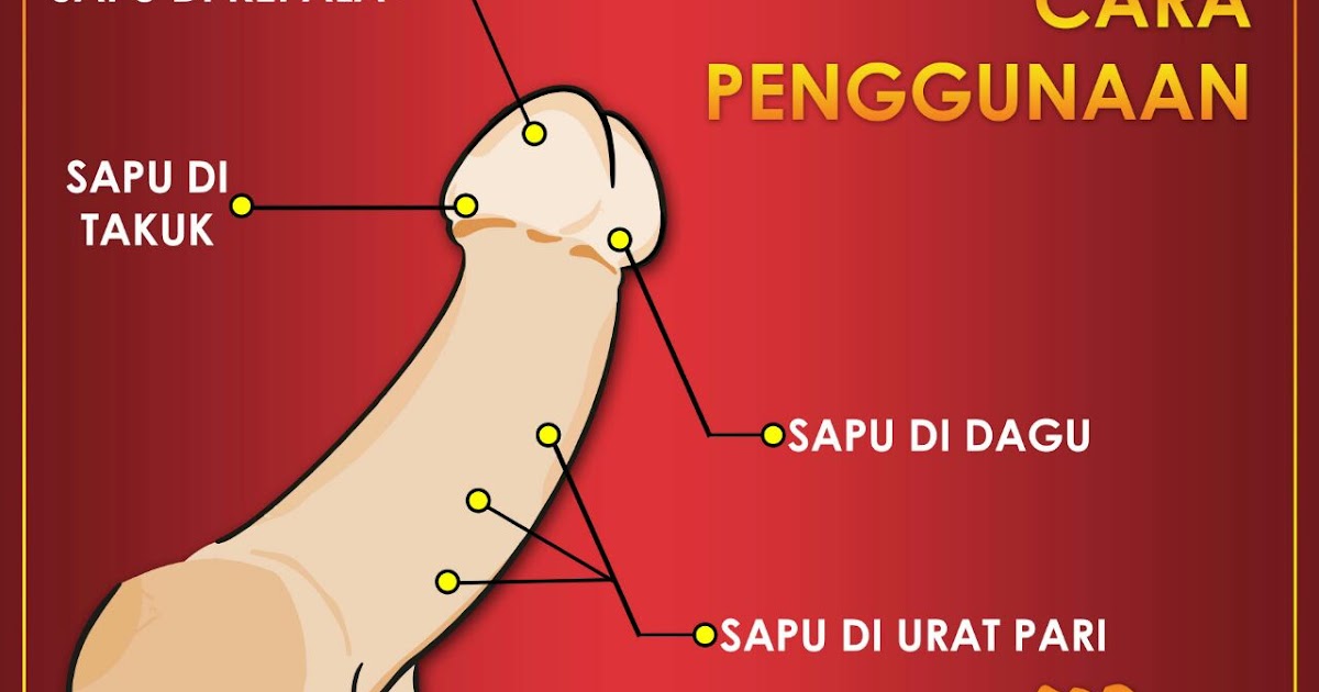 cara guna gambir sarawak