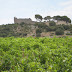 VILLA DONDONA