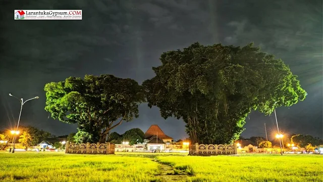 alun - alun kidul yogyakarta