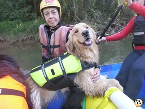Pets 12 (26)
