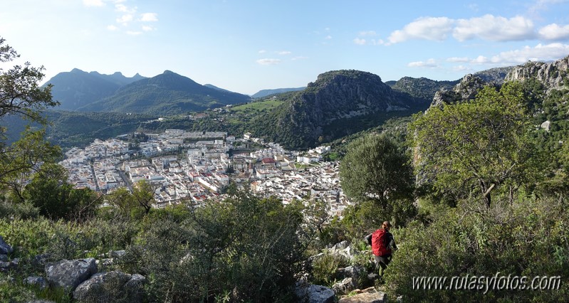 El Cintillo - Sierra Baja de Ubrique - Paso del Bombo - Ubrique - Cañada de los Pernales