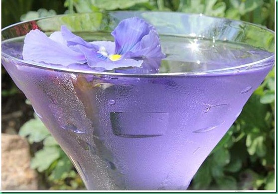 petalpusher