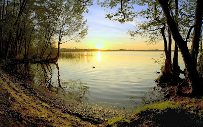 Paisajes naturales VII (Más allá de los verdes prados)