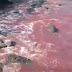 Βάφτηκε κόκκινος από το αίμα ο Βόσπορος ! Απίστευτο βίντεο !