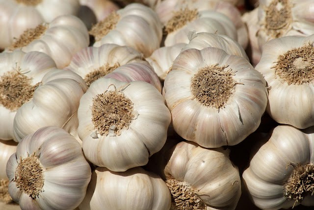  Health benefits of garlic