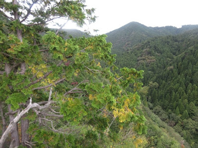 鉾立山
