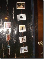 DSC03596