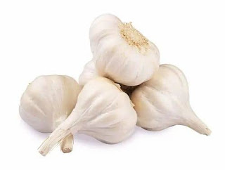 Garlic vegetables name