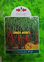 Benih CMK Tangguh F1,benih,cmk,tangguh,f1,lmga agro