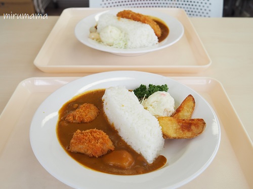 黒部ダムカレー