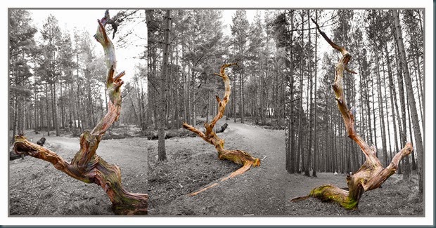 Untitled-1