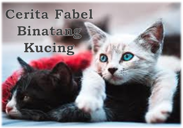 Cerita Fabel Binatang Kucing Oleh Kak Rasyid - tolongtangtugas.web.id