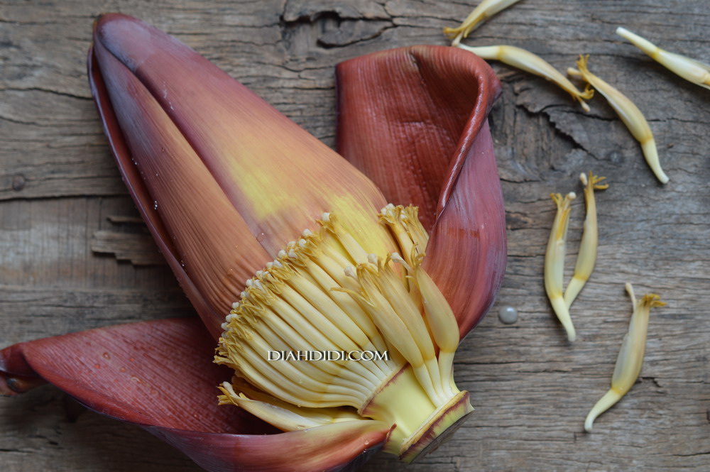 Diah Didi s Kitchen Lodeh Jantung Pisang