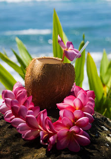 https://shop.photosofaloha.com/DiscoverMore/Food-is-Life/i-m9DBB2q/A