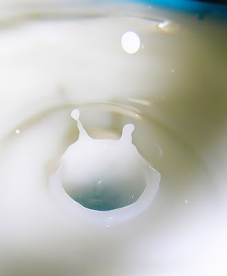 milk image picture