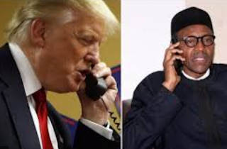 Stop protesters, bring back peace - Buhari tells Trump