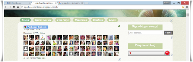 sumiram os seguidores do meu blog