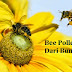 BEE POLLEN - ADA HEBATNYA (Part 2)