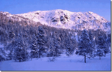 clip_image008