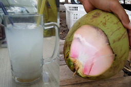 Banyak Minum air Kelapa saat hamil bisa bikin Kulit bayi putih dan bersih sejak dalam kandungan? Mitos atau Fakta ya?!