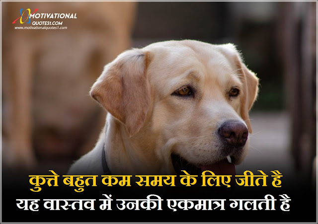 Dog Quotes Image Hindi || डोग क़ोटस इमेजेस हिन्दी