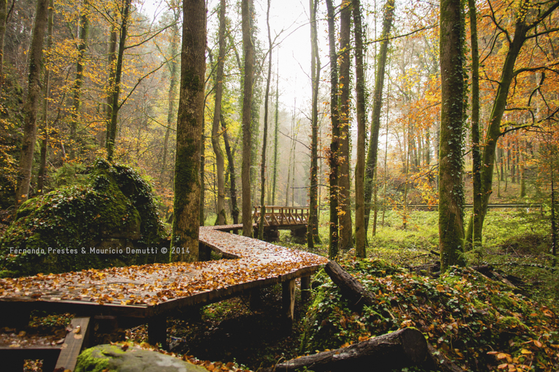 mullerthal trail Luxemburgo