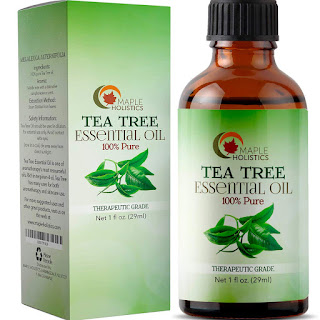 maple holistic tea tree oil