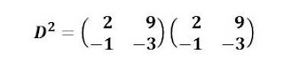 IGCSE,Mathematics,0580,Product of Matrices,Order of matrix,multiply matrix,matrix times matrix,square of a matrix,CIE,revisions