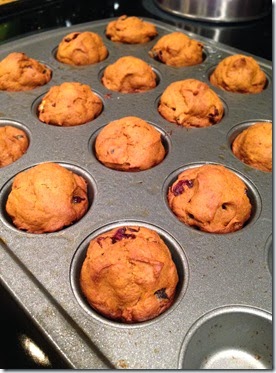 Pet Pumpkin Cranberry Muffins (3)