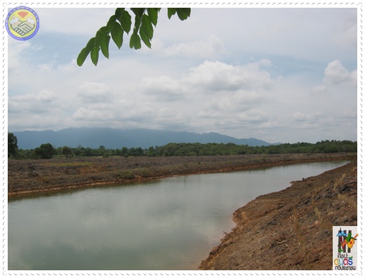 photo suwet