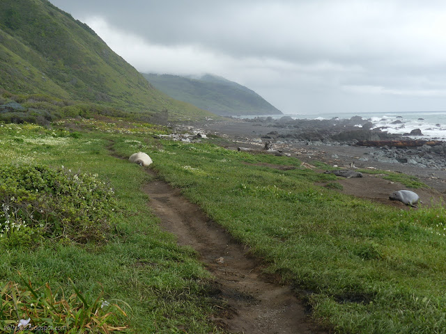 045: seal and hills