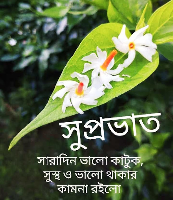 New Good Morning Images In Bengali