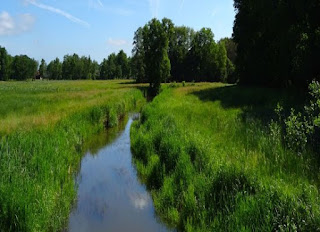 Foto cover De kwaliteit van drinkwaterbronnen in Nederland