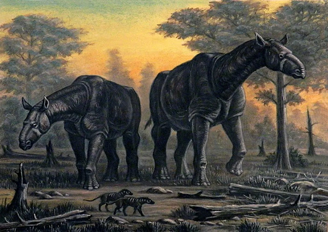 Dos Paraceratherium transouralicum caminando entre un bosque