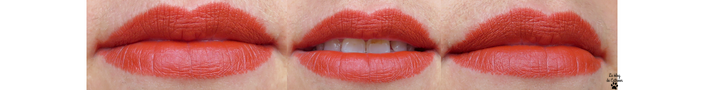 Matte Lipstick - 05 Coquelicot - Charlotte Bio