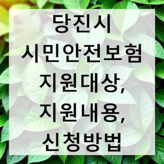 당진시 시민안전보험