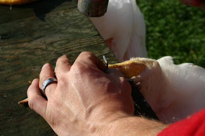 How To Butcher A Chicken The Easy Way