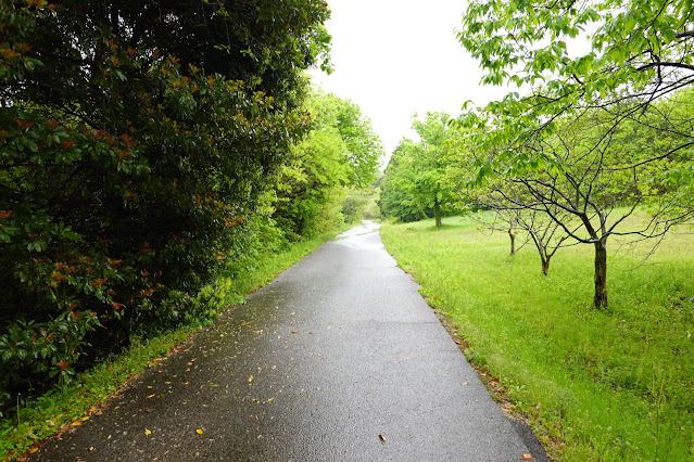 鳥取県西伯郡大山町妻木 鳥取県立むきばんだ史跡公園 弥生の森