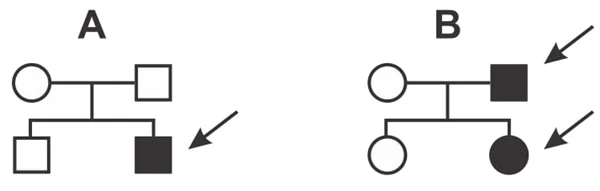(Albert Einstein 2017) Nos heredogramas abaixo, o casal indicado por A tem dois filhos e o casal indicado por B, duas filhas. As setas indicam pessoas que apresentam uma dada doença