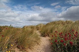 Sand dunes and blue sky at the beach in Bamburgh