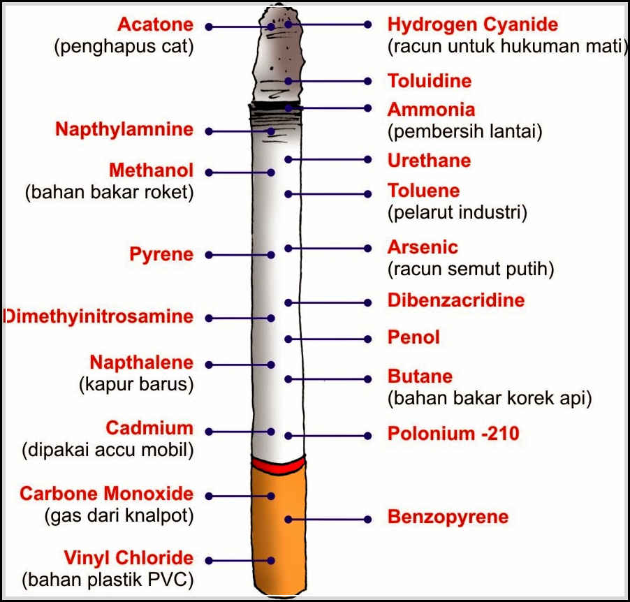 Beberapa Zat  Kimia Mematikan yang  Terdapat pada Rokok 