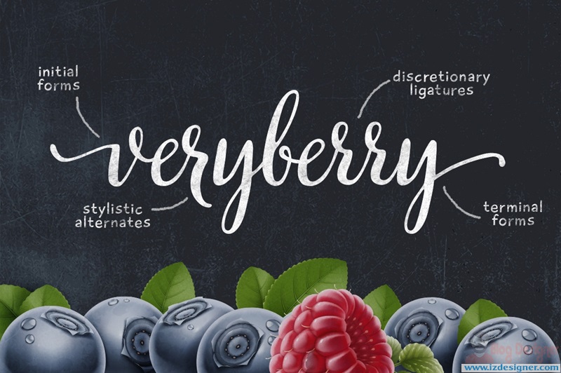 Quà Tặng - 30+ Font Chữ Tuyệt Vời Từ izdesigner.com