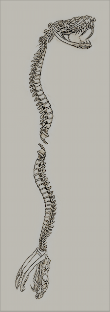 Skeleton of Egyptian Snake Goddess
