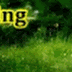 Cara Membuat Gambar bergerak ( Scrolling Image )