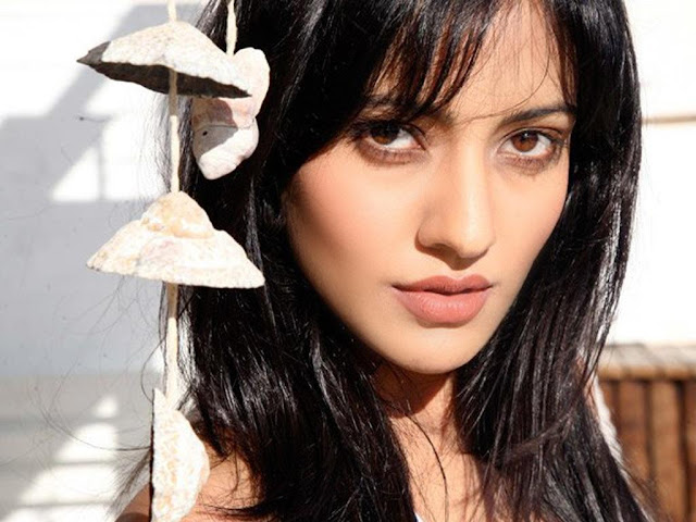 Neha Sharma HD Wallpapers Free Download