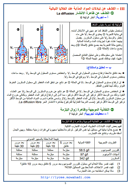 اليات امتصاص الماء و الاملاح المعدنية عند النباتات اليخضورية - 5