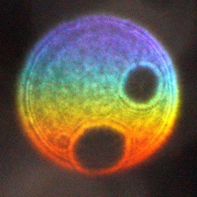 gradient color orb with two holes